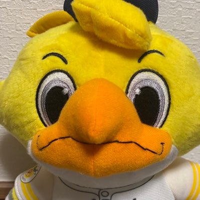 matto2831365461's profile picture. ソフトバンクホークス/競馬（南関 JRA）/日本株投資/NISAはsp500/映画/パラ水泳/軽度肢体不自由/講演講師