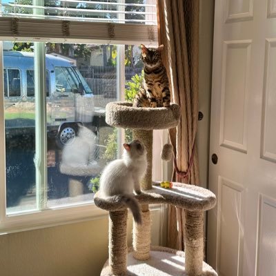 CandiceMRealtor's profile picture. A Christian, a wife, and a mother. Retired and enjoying life to its fullest.