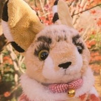 あさーバル（中の人）(@A_serval) 's Twitter Profile Photo