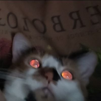 smgtita 🇺🇦さんのプロフィール画像