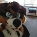 Dusky Puppy (@dusky_pup) Twitter profile photo