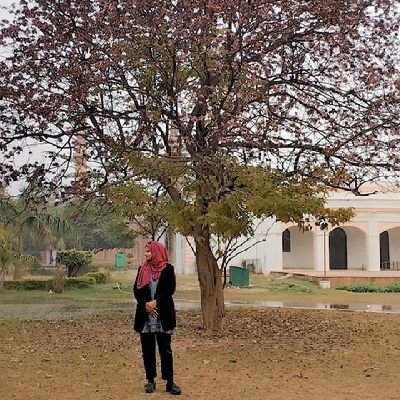 Attempt to try |
I'm an interpretor nd professional social worker | 
AMU❤️ | 
FREE PALESTINE 🇵🇸