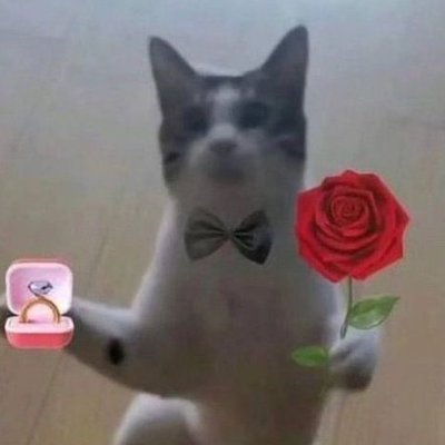 kolomon44's profile picture. ROM / 18↑ / I follow artists I admire