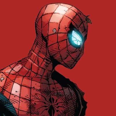 20 | AuDHD | INFJ | Spider-Man enthusiast | priv: @reverseddspider | eng/esp