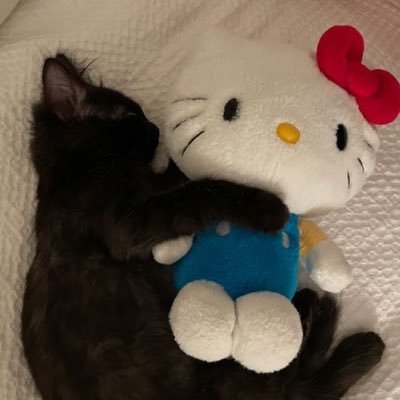 nanamanさんのプロフィール画像