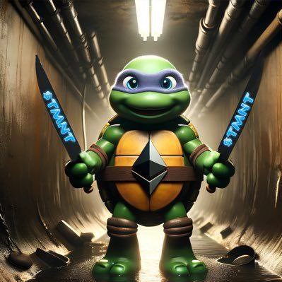 🐢🍕The $TMNT project is for meme and entertainment purposes only, and is not affiliated with, endorsed by, or intended to represent any organization or brand.