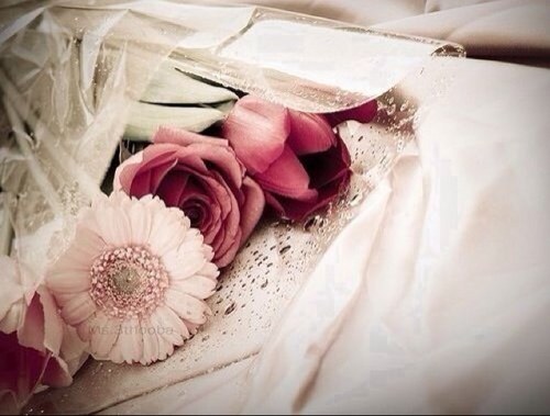 wdalbder's profile picture. 