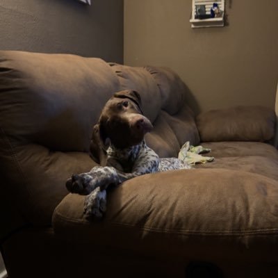 TreyODP's profile picture. 