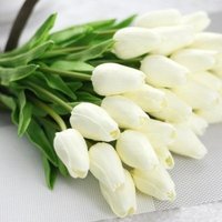 الزهرة البيضاء (@rnwm159305) Twitter profile photo