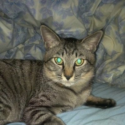 NNEKAI154649's profile picture. 理論科学+軍事+宇宙&天文学+謎学を科学と6センス理論を用いて検証、ジャンル問わず、独自哲学に基づく記事をブログに執筆中