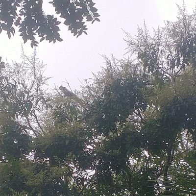 Benjami07780715's profile picture. Transforme