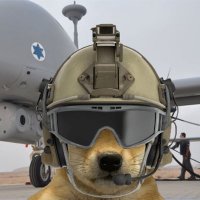 Scatt (@scatt_boi) 's Twitter Profile