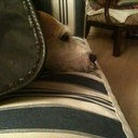 karin gruber hager - @GhiKarin - Twitter