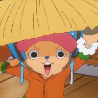 Petster (@petsterr) 's Twitter Profile Photo