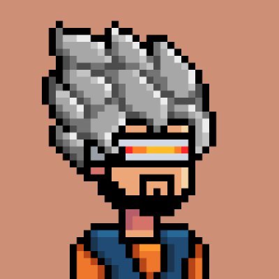 bnmnkh1's profile picture. btc maxi