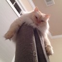 Dan Guthrie - @DanGuthie - Twitter