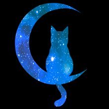 Moon_x_Cat Profile Picture