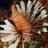 smudge804's profile image