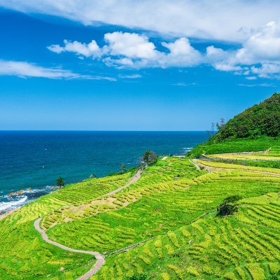 notoeclink's profile picture. 能登エリアで現在注文を受け付けているネットショップをご紹介します。
美味しい食をはじめ、能登の素敵な商品を購入して、能登を応援しましょう！