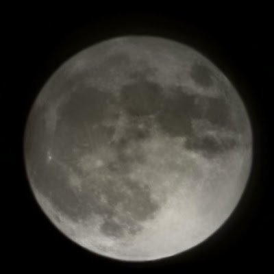 so_off82366's profile picture. I am 21 years old. you can call me rater or rook it your choice but you probably see me around but have a good day and here some headpats