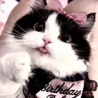 mayu (@myosephc) 's Twitter Profile
