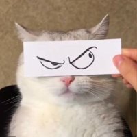G. (@galekinn) 's Twitter Profile Photo G. (@galekinn) 's Twitter Profile Photo