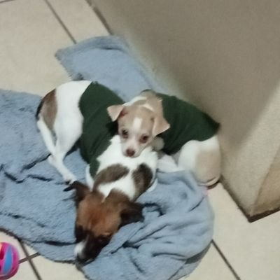 tenemos que salir adelante, siempre encomiendaté a Dios.
ANTI-MORENA