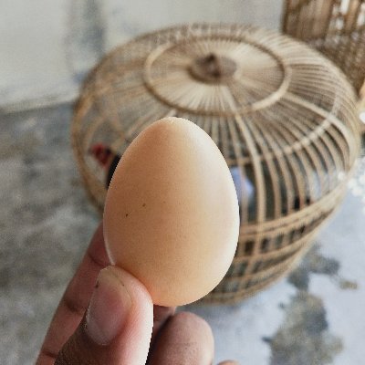 ahou77's profile picture. Control Master everything