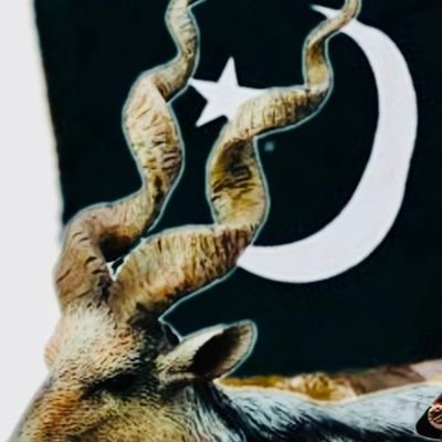 AYAZ20002's profile picture. 🇵🇸🇵🇰LONG LIVE GREATER PAKISTAN🇵🇰🇵🇸