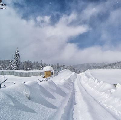 Nurturing the picturesque paradise of Gulmarg, fostering sustainable growth, and preserving the natural beauty that captivates hearts. #Gulmarg #SustainableDev.