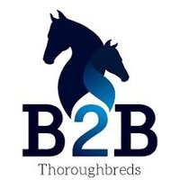 B2B Thoroughbreds(@B2BThoroughbred) 's Twitter Profileg