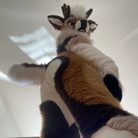 Malibu 🔜 MFF 🔜 FC (@bleat_deer) 's Twitter Profile