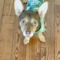 Jeff Doering (@jeffrey_doering) 's Twitter Profile