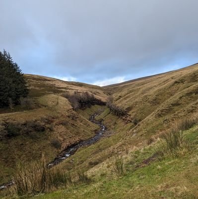 j2909williams's profile picture. 