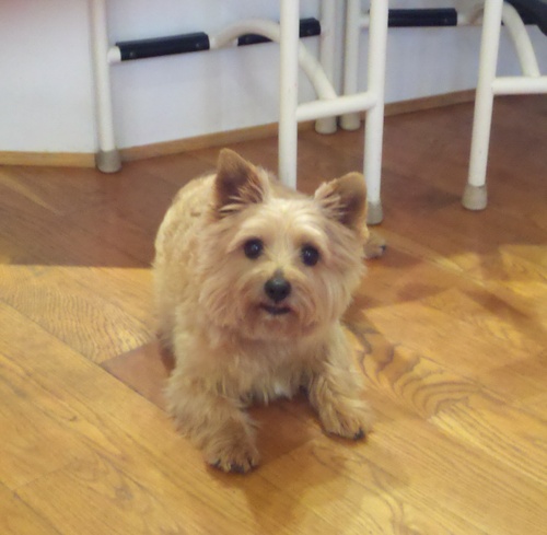 studioTempin's profile picture. Appraise films for a prod./distr. movie studio. Time to get more creative