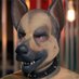 Slavedog200 (@slavedog200) Twitter profile photo