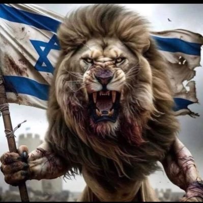 kajolamok's profile picture. Programmer 🇮🇱🇲🇽🇪🇸