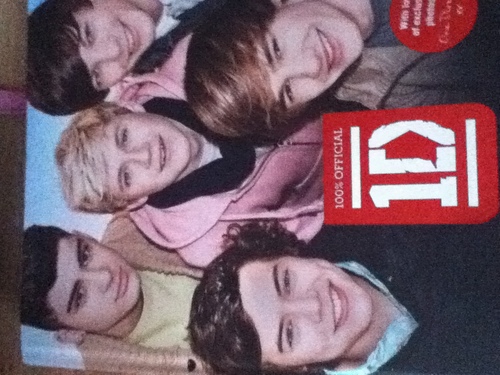 I love one direction 3 and i adore niall horan x 3