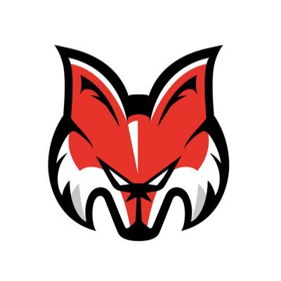 HCB_Foxes Profile Picture