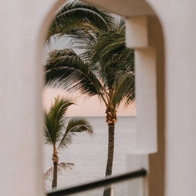 shd08435959's profile picture. شهد