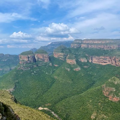 ali505698214421's profile picture. 