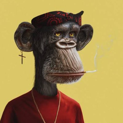 tivajxzk's profile picture. 