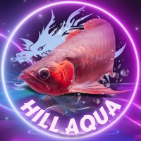 hillアクア (@hill_aqua5111) 's Twitter Profile Photo hillアクア (@hill_aqua5111) 's Twitter Profile Photo