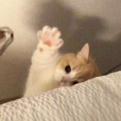 jh1497_'s profile picture. ฟรังเฟย์