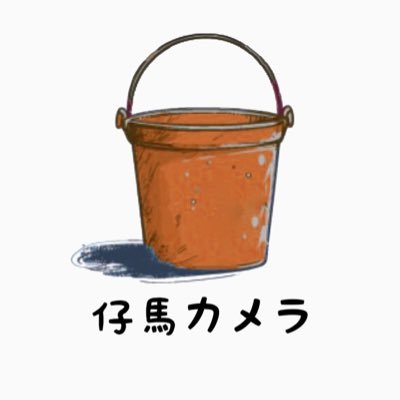 牧場に預託している仔馬達の日常を紹介しています(見学不可) / 仔馬カメラ&BAKETSUアパレル(https://t.co/rKSkpn7YeP)≠牧場です / お問合せ先: koumacamera@gmail.com