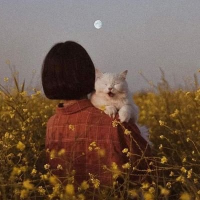 nazmul2356's profile picture. 