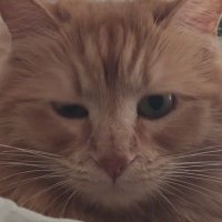 sandythunder (@sandythunder_m) 's Twitter Profile
