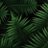 rustin_ptr's profile image