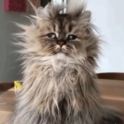 KrzysztofLask20's profile picture. Crypto Inwestor
