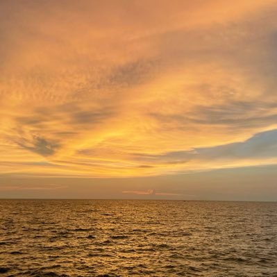 rexpeatx's profile picture. my private space